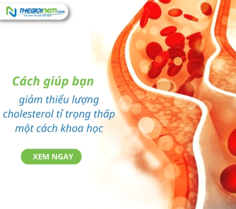 Cách giúp bạn giảm thiểu lượng cholesterol tỉ trọng thấp (LDL cholesterol) một cách khoa học