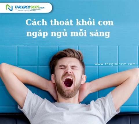 Cách thoát khỏi cơn ngáp ngủ mỗi sáng | Thegioinem.com