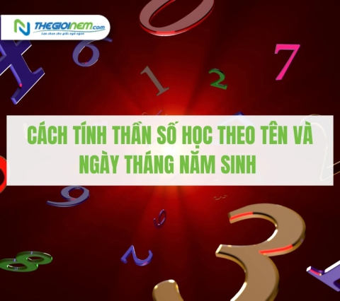 Cách tính thần số học theo tên và ngày tháng năm sinh - Thế Giới Nệm