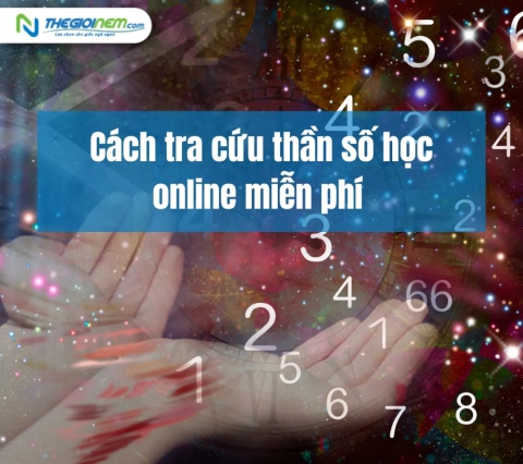 Cách tra cứu thần số học online miễn phí - Thế Giới Nệm