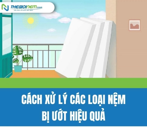 Cách xử lý các loại nệm bị ướt hiệu quả