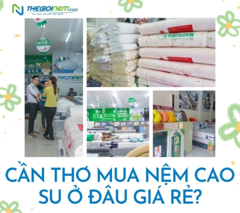 Cần Thơ mua nệm cao su ở đâu giá rẻ?