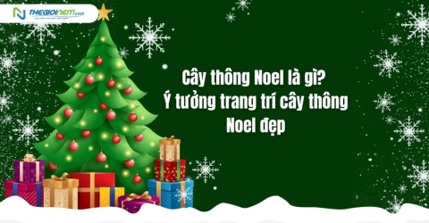 Cây thông Noel là gì? Ý tưởng trang trí cây thông Noel đẹp