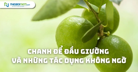 Chanh để đầu giường và những tác dụng không ngờ