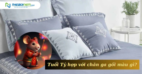 Tư vấn chọn màu chăn ga gối cho người tuổi Tý