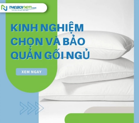 Kinh nghiệm chọn và bảo quản gối ngủ | Thegioinem.com