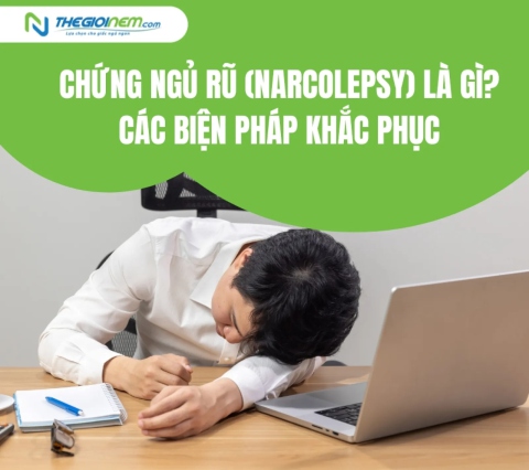 Chứng ngủ rũ (narcolepsy) là gì? các biện pháp khắc phục