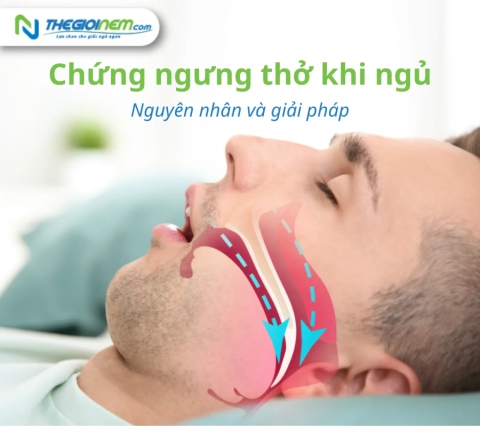 Chứng Ngưng Thở Khi Ngủ - Nguyên Nhân Và Giải Pháp