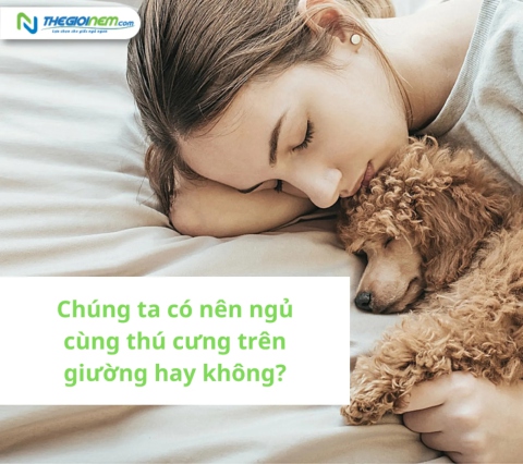 Chúng ta có nên ngủ cùng thú cưng trên giường hay không? Tại sao? 