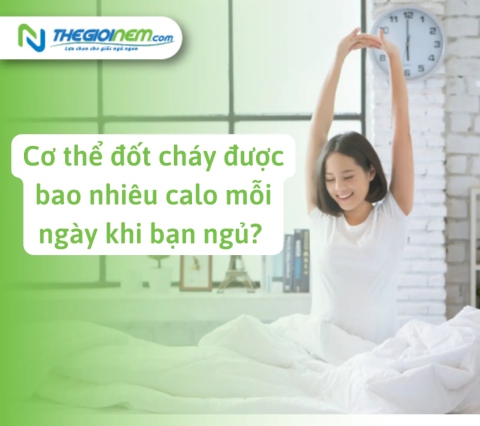 Cơ thể đốt cháy được bao nhiêu calo mỗi ngày khi bạn ngủ? | Thegioinem.com