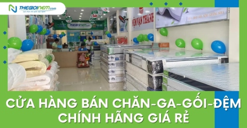 Cửa hàng bán chăn-ga-gối-đệm chính hãng giá rẻ