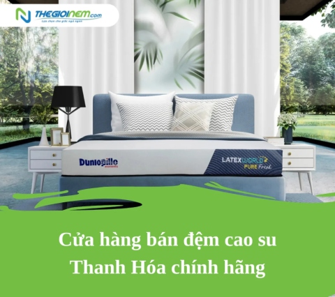 Cửa hàng bán đệm cao su Thanh Hóa chính hãng