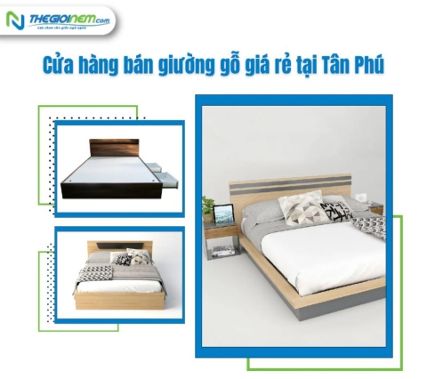 Cửa Hàng Bán Giường Gỗ Tự Nhiên Giá Rẻ Tại Tân Phú