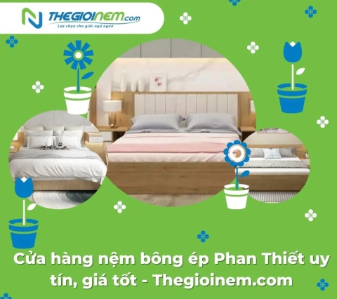 Cửa hàng nệm bông ép Phan Thiết uy tín, giá tốt - Thegioinem.com