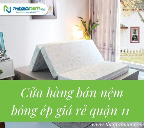 Cửa hàng bán nệm bông ép giá rẻ quận 11 | Thegioinem.com