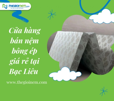 Cửa hàng bán nệm bông ép giá rẻ tại Bạc Liêu | Thegioinem.com