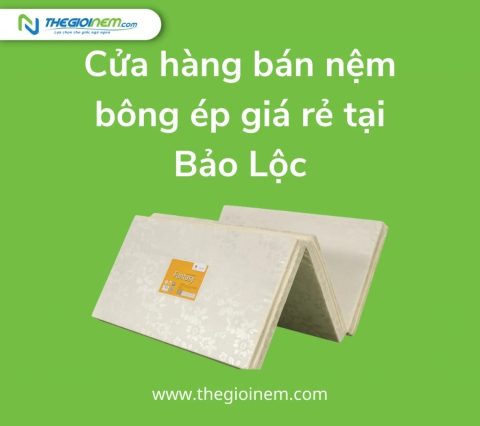 Cửa hàng bán nệm bông ép giá rẻ tại Bảo Lộc | Thegioinem.com