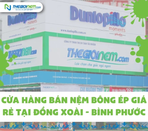 Cửa hàng bán nệm bông ép giá rẻ tại Đồng Xoài - Bình Phước