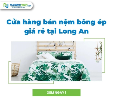 Cửa hàng bán nệm bông ép giá rẻ tại Long An | Thegioinem.com