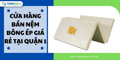 Cửa Hàng Bán Nệm Bông Ép Giá Rẻ Tại Quận 1 - Thế Giới Nệm