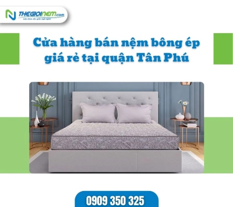 Cửa hàng bán nệm bông ép giá rẻ tại quận Tân Phú