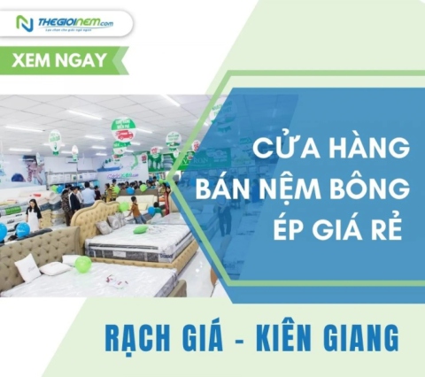 Cửa hàng bán nệm bông ép giá rẻ Rạch Giá - Kiên Giang | Thegioinem.com