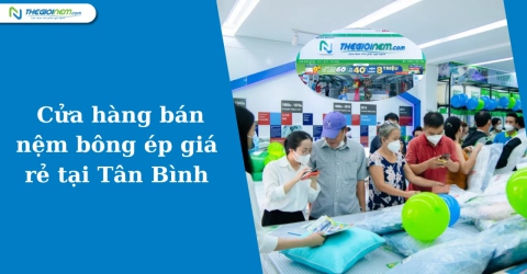 Cửa hàng bán nệm bông ép giá rẻ tại Tân Bình