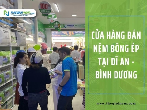 Cửa Hàng Bán Nệm Bông Ép Tại Dĩ An - Bình Dương