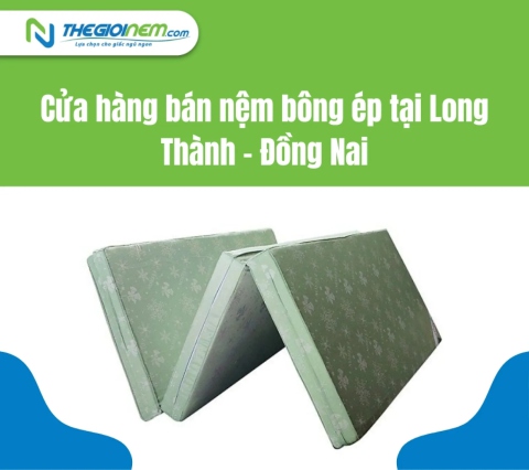 Cửa hàng bán nệm bông ép tại Long Thành - Đồng Nai