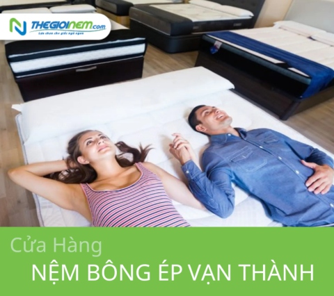 Cửa hàng bán nệm bông ép Vạn Thành tại Củ Chi - Thegioinem.com