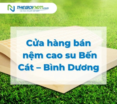 Cửa hàng bán nệm cao su Bến Cát – Bình Dương