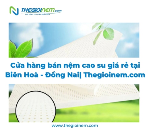 Cửa hàng bán nệm cao su Biên Hoà - Đồng Nai - Thegioinem.com