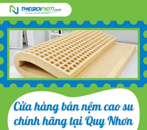 Cửa hàng bán nệm cao su chính hãng tại Quy Nhơn | Thegioinem.com