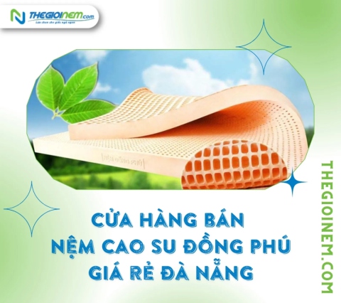 Cửa hàng bán nệm cao su Đồng Phú giá rẻ Đà Nẵng