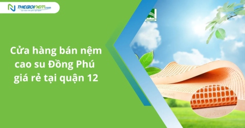 Cửa Hàng Bán Nệm Cao Su Đồng Phú Giá Rẻ Tại Quận 12 TPHCM