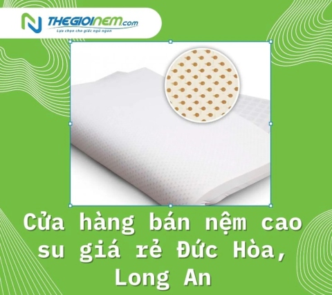 Cửa hàng bán nệm cao su giá rẻ Đức Hòa, Long An