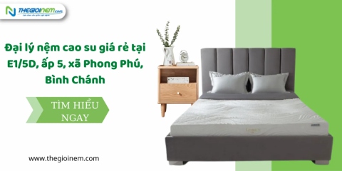 Cửa hàng bán nệm cao su giá rẻ tại Bình Chánh