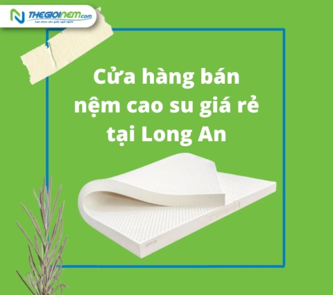 Cửa hàng bán nệm cao su giá rẻ tại Long An | Thegioinem.com