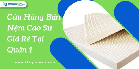 Cửa Hàng Bán Nệm Cao Su Giá Rẻ Tại Quận 1 - Thế Giới Nệm