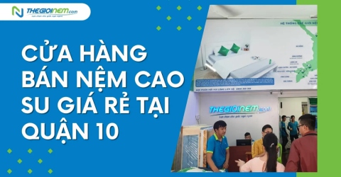 Cửa hàng bán nệm cao su giá rẻ tại quận 10