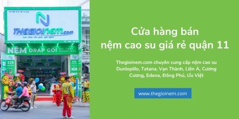 Cửa hàng bán nệm cao su giá rẻ tại quận 11 | Thegioinem.com