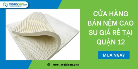 Cửa hàng bán nệm cao su giá rẻ tại quận 12