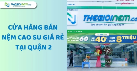 Cửa Hàng Bán Nệm Cao Su Giá Rẻ Tại Quận 2 - Thegioinem.com