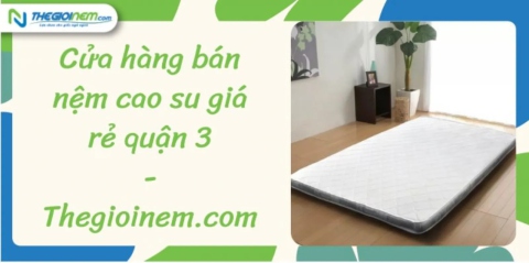 Cửa hàng bán nệm cao su giá rẻ tại quận 3