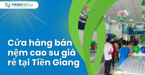 Cửa hàng bán nệm cao su giá rẻ tại Tiền Giang