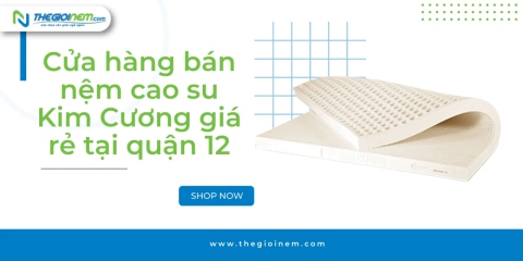 Cửa hàng bán nệm cao su Kim Cương giá rẻ tại quận 12