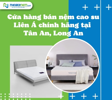 Cửa hàng bán nệm cao su Liên Á chính hãng tại Tân An, Long An