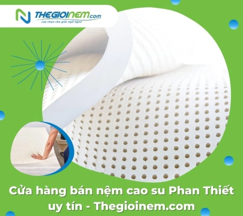 Cửa hàng bán nệm cao su Phan Thiết uy tín - Thegioinem.com