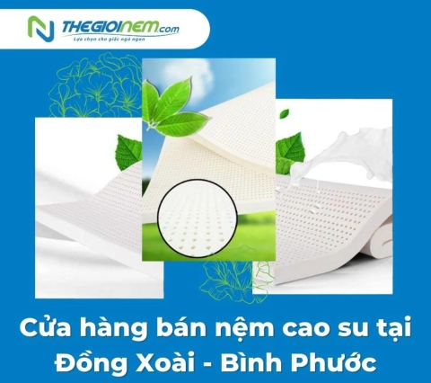 Cửa hàng bán nệm cao su tại Đồng Xoài - Bình Phước