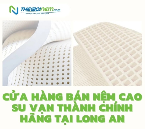 Cửa hàng bán nệm cao su Vạn Thành chính hãng tại Long An